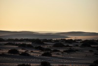 /album/fotogalerie/western-sahara-258-kopie-jpg/